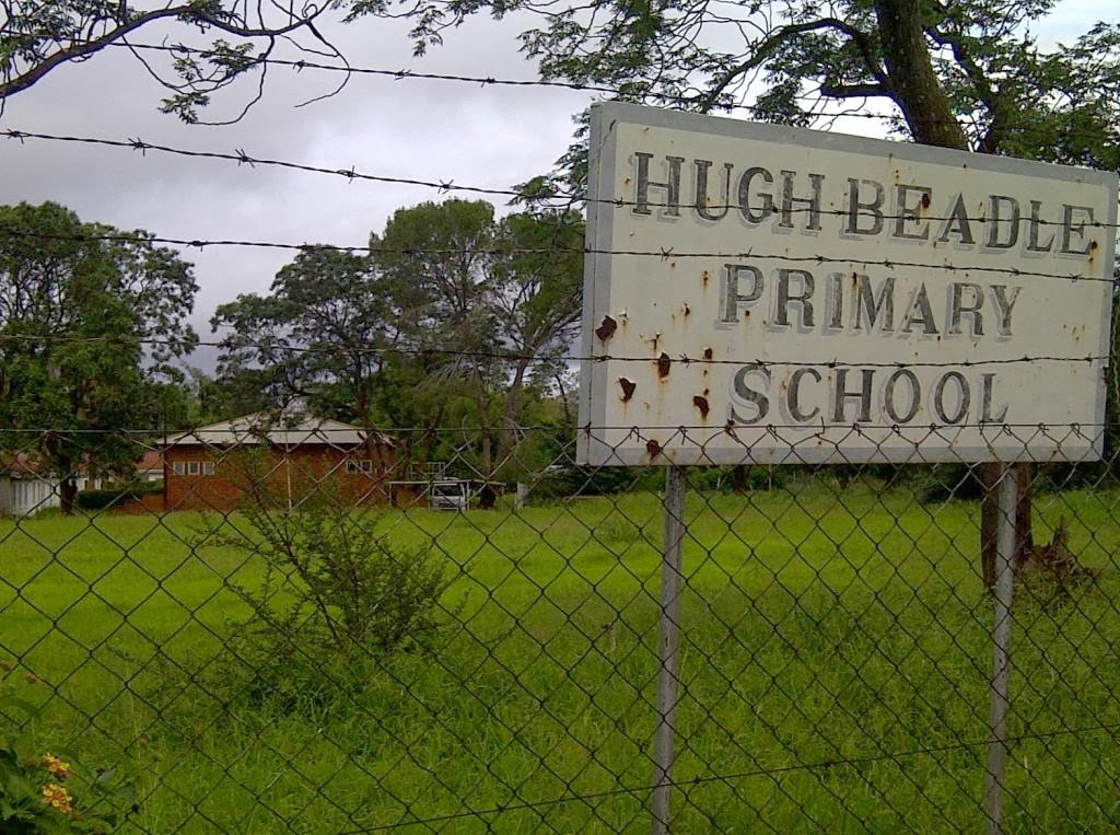 ‘Hugh Beadle Teacher Sibongile Nyathi Stabbed Grade One Pupil (6)  In Head With Pencil’