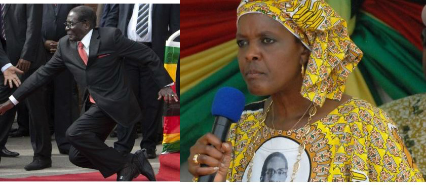 Mugabes, The ‘Source Of Zimbabwe’s Misery’, Seek Donations For Grace’s 50th Birthday