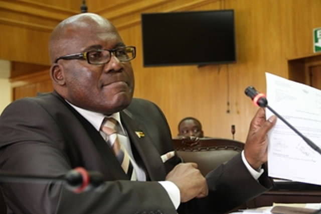 ‘There Is No Suitable Successor To Mugabe’-Minister Christopher Mushowe .