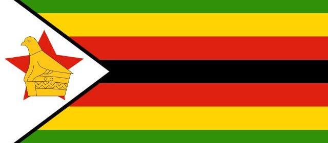 ‘Zimbabwe Must Abolish Deputy Ministerial Post’- Crisis Coalition Official