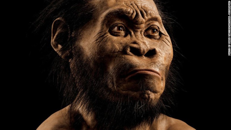 New Human Species (HOMO NALEDI) Discovered In Cradle of Humanity World Heritage Site, ‘SA’