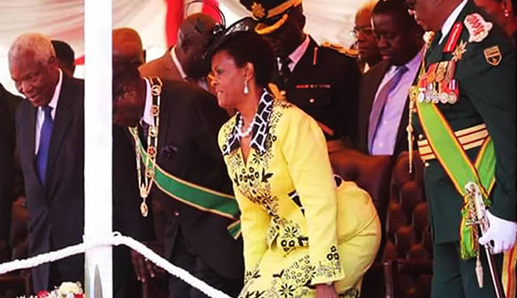 Grace Mugabe Faces Parly Probe Over Partisan Distribution Of State Property