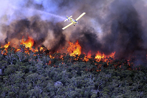 Christmas Ruined For Thousands As Bush Fires Gut 100 Homes In Australia