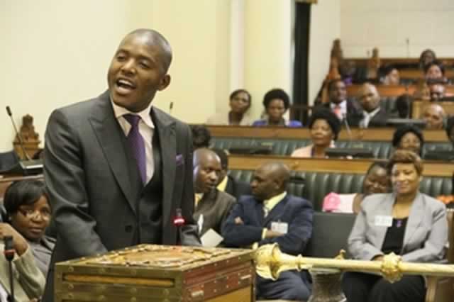 Mnangagwa’s Ally Gokwe-Nembudziya MP Justice Mayor Wadyajena  Arrested In VFalls For Denigrating Grace