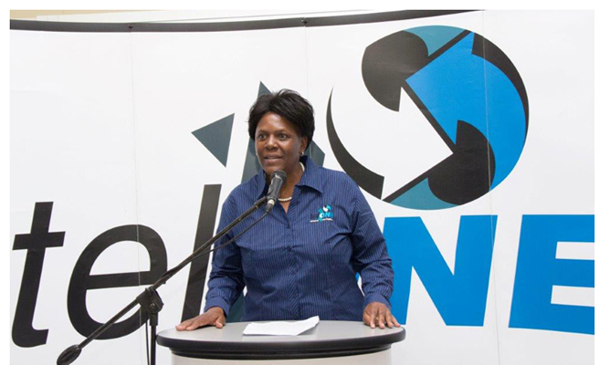 Only 15 TelOne Employees Hold Basic 5 O’levels, Whilst 638 Have No O’Levels Qualification