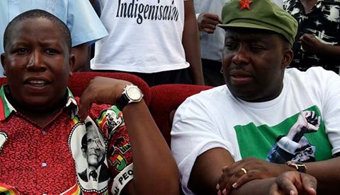KASUKUWERE AND MALEMA have allegedly formed an alliance to topple Mugabe