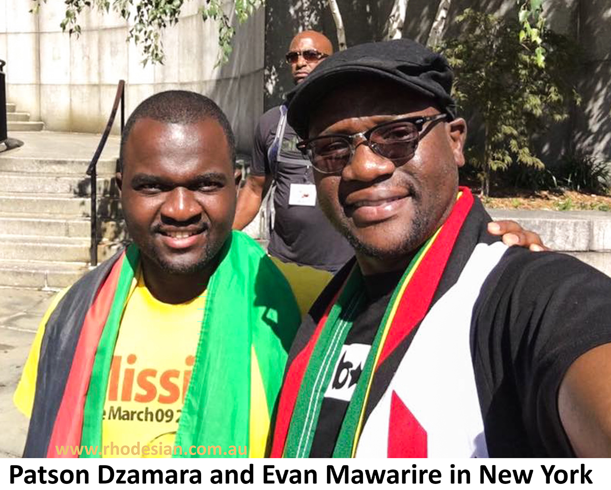 ACTIVIST PATSON DZAMARA WHO is the missing Itai Dzamara’s brother died this morning after battling colon cancer for some time .