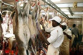 BULAWAYO, dog meat, now donkey abattoirs, Mugabe Zanu pf regime’s ‘Look East Policy’ brought dog and donkey meat delicacy,..welcome to Zimbabwe,..vote Mugabe!