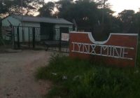 newzimbabwevision is reliably informed that ever since Zimbabwe Mining Development Cooperation (ZMDC) took over Lynx Mine in Karoi using the 51% share ownership laws, in 2016, employees have not been paid