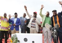 ‘MDC Alliance major partner, MDC-T is demanding that its partners must step up and show that they deserve constituencies they were allocated in the alliance agreement, because members of the alliance are mere briefcase parties not bringing supporters ‘