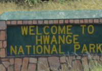 POACHER SHOT DEAD AND 3  poachers flee undressed in Hwange National park when caught bathing in Hwange National Park