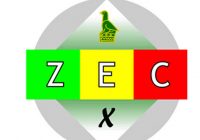 ZIMBABWE ELECTORAL COMMISSION (Zec) has dismissed its chief elections officer, Constance Chigwamba.
