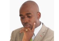 MDC ALLIANCE LEADER NELSON CHAMISA FACES US$3 MILLION costs of his election petition loss at the Constitutional Court.