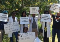 SENIOR DOCTORS join striking juniors leading to suspension of major procedures at public health institutions until  530 suspended junior doctors are reinstated