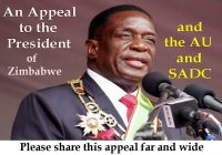 APPEAL TO  MNANGAGWA ; The African Union; SADC On behalf of  Africans: Zimbabwe; and  humanity, to now do the right thing.