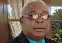 MDC-Alliance deputy Mudzuri says the  MDC party’s congress in May could split the party