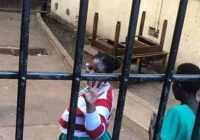 MDC MP Joana Ruvimbo Mamombe was arrested again on Wednesday 29 May 2019  by  the Zimbabwe Republic Police  at Harare Central.