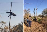 A BULAWAYO BURNSIDE COPPER CABLE THIEF WAS ELECTROCUTED after Zesa suddenly restored electricity on Thursday night