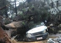 A Tree fell on a  kombi, killing 2 two people in  Mbare during a storm  this afternoon.