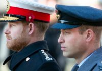 “I’ve put my arm around my brother all our lives and I can’t do that any more; we’re separate entities”-Prince William,