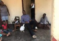 MDC LEADER NELSON CHAMISA 42 PLANS TO LEAVE POLITICS and retire to his Gutu rural home after 10 more years in the game to focus on writing books and running a foundation.