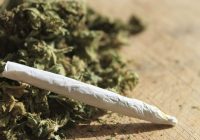 MALAWI PARLIAMENT ENDORSES the Cannabis Regulation Bill which allows for the farming of the three leaf herb for medicinal purposes.