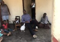 ‘At Chamisa’s Gutu rural home, Zanu pf will feed on livestock, and use his toilets as MDC invited Western Sanctions’-Zanu pf youths