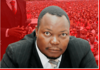 MDC vice-chair Sikhala has threatened to initiate constitutional processes to push out Mnangagwa’s government from power as the economic turmoil and deteriorating social and political space in Zimbabwe could not be allowed to continue.