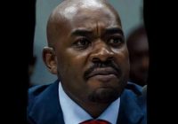 NELSON CHAMISA faces criminal charges