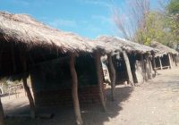GRADE 7 PUPILS AT CHIWENGA SCHOOL, which is on the Zimbabwe-Mozambique border, have lessons  in the open and makeshift classrooms constructed by the community.
