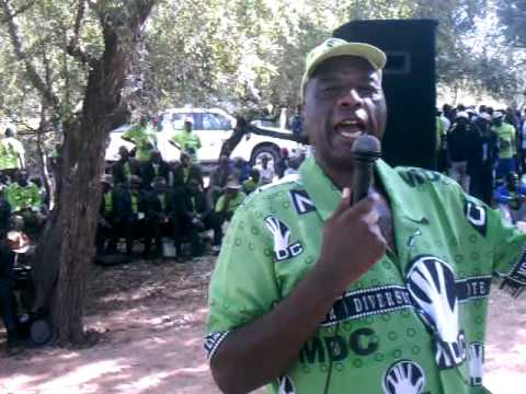 Paul Themba Nyathi  steps down in MDC