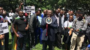 Mugabe’s Zanu PF Partisan Herald Newspaper Claims, Tsvangirai Hijacks Dzamara March-See Story