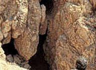 DEAD SEA SCROLLS -the Dead Sea Scrolls are also referred to as the Qumran Caves Scrolls
