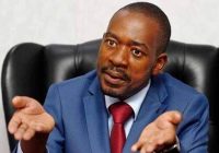 ‘ WHY DO YOU EXPECT ACTION FROM ME ALONE ? What are you doing beyond criticizing and blaming me?.- MDC leader Nelson Chamisa